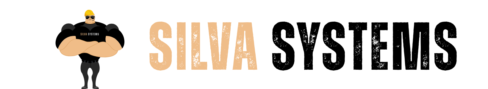 Silva Systems